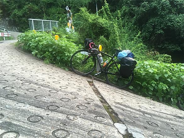 国道308号線 自転車