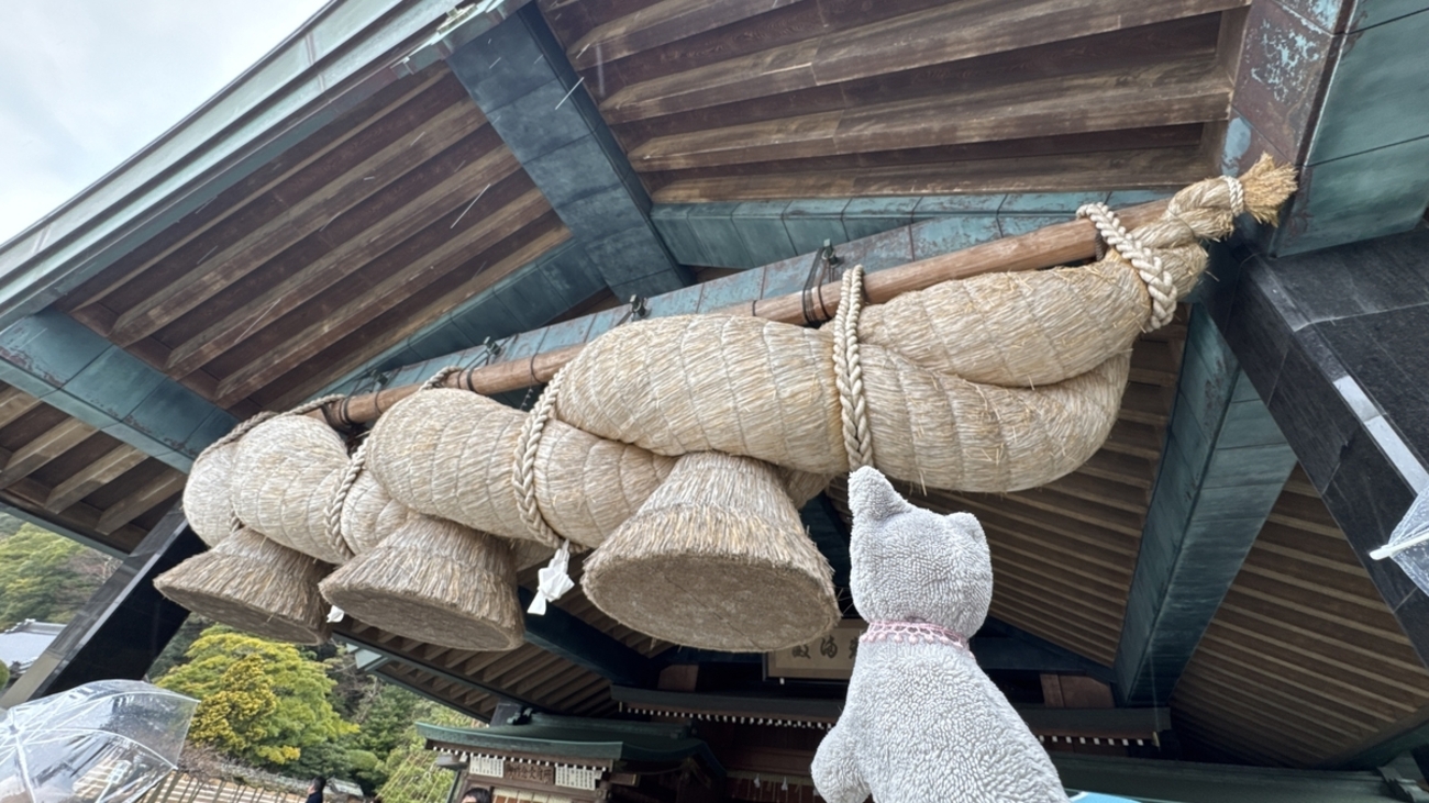 神代から続くパワースポット✨八百万の神々が集う出雲大社のお話