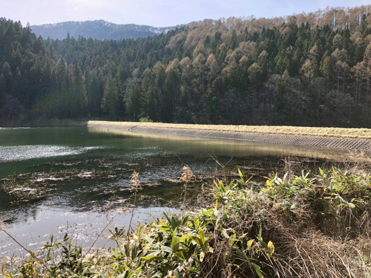 水道秋聖　「千野の池」 backend=imagemagick;version=1;