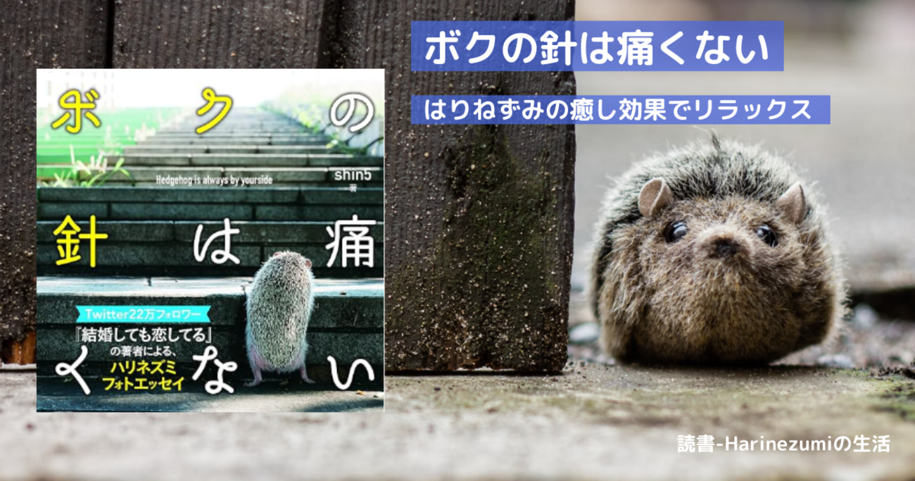 backend=imagemagick;version=1;