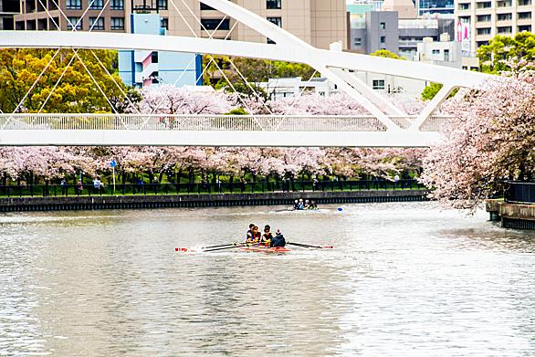 レガッタとは スポーツの人気 最新記事を集めました はてな レガッタとは スポーツの人気 最新記事を集めました はてな