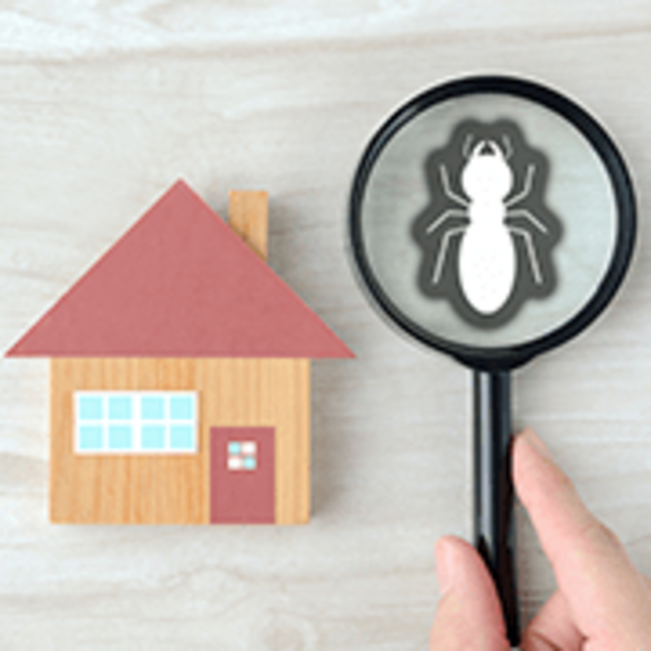 一戸建ての虫対策！　虫が発生しにくい家、侵入しにくい家とは？ - MY HOME STORY │スーモカウンター注文住宅