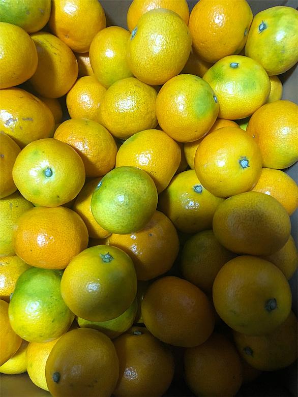 骨粗しょう症とは サイエンスの人気 最新記事を集めました はてな