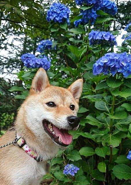 熊谷市とは 地理の人気 最新記事を集めました はてな