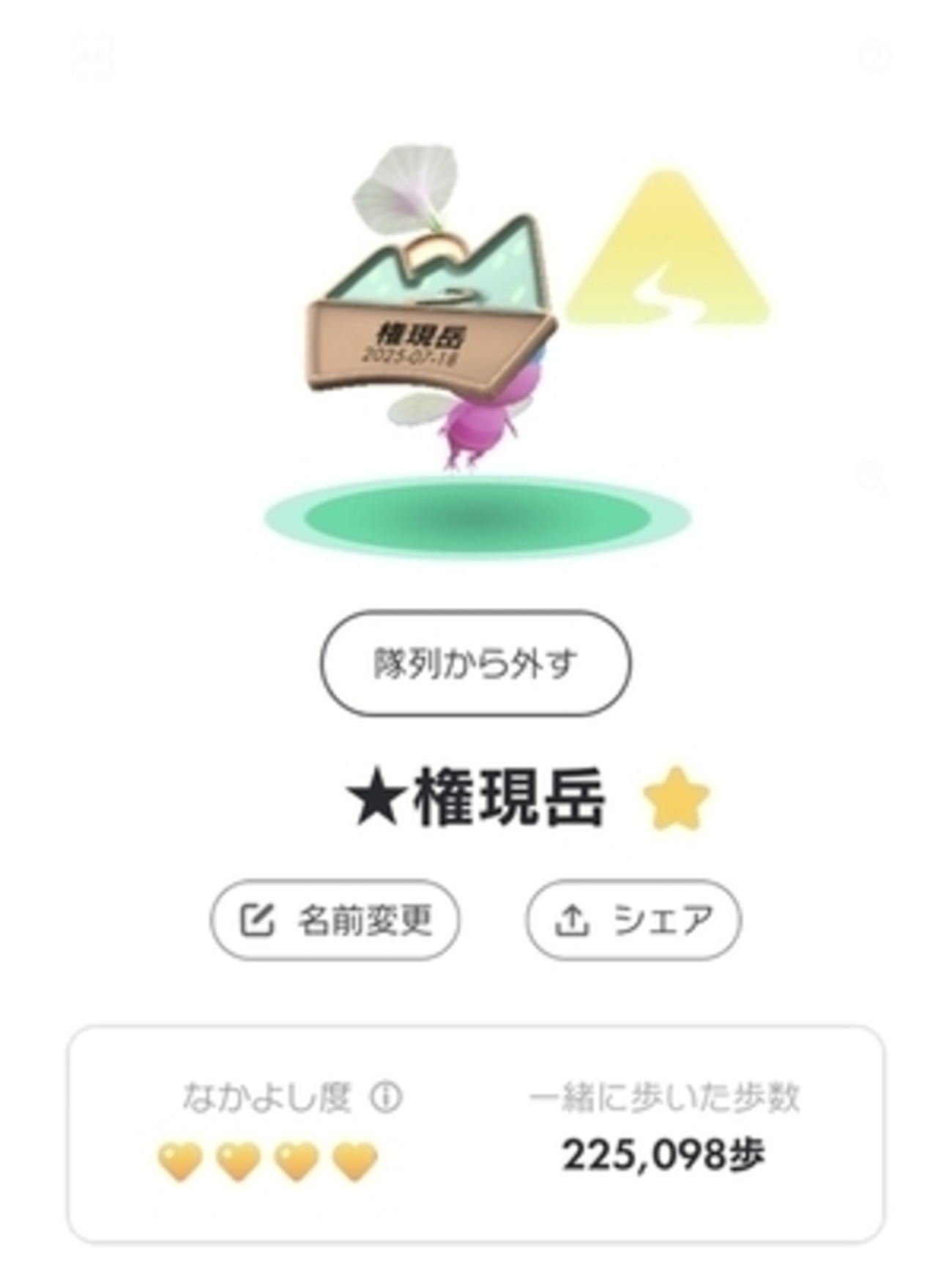 権現岳（長野県諏訪郡富士見市･山梨県北杜市）