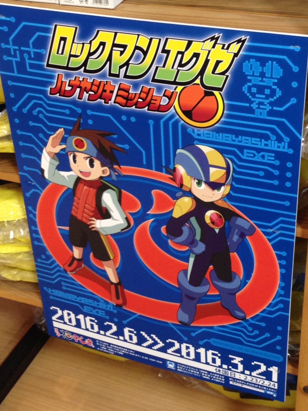 ロックマンエグゼ ハナヤシキミッション』に行ってきたよおおおお 