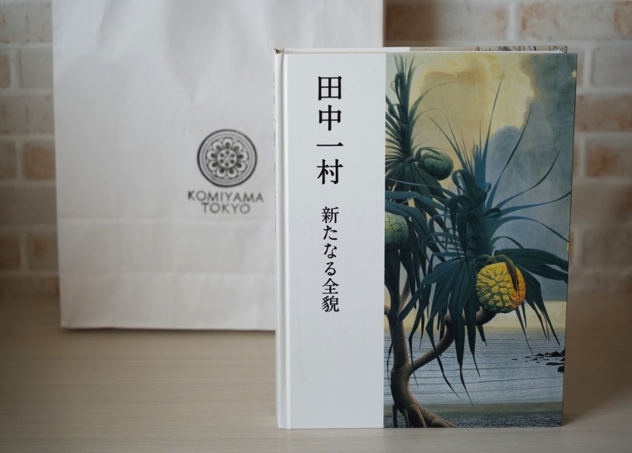 ツツジの咲く街角⑦購入品・古書編『田中一村 新たなる全貌 at 小宮山 