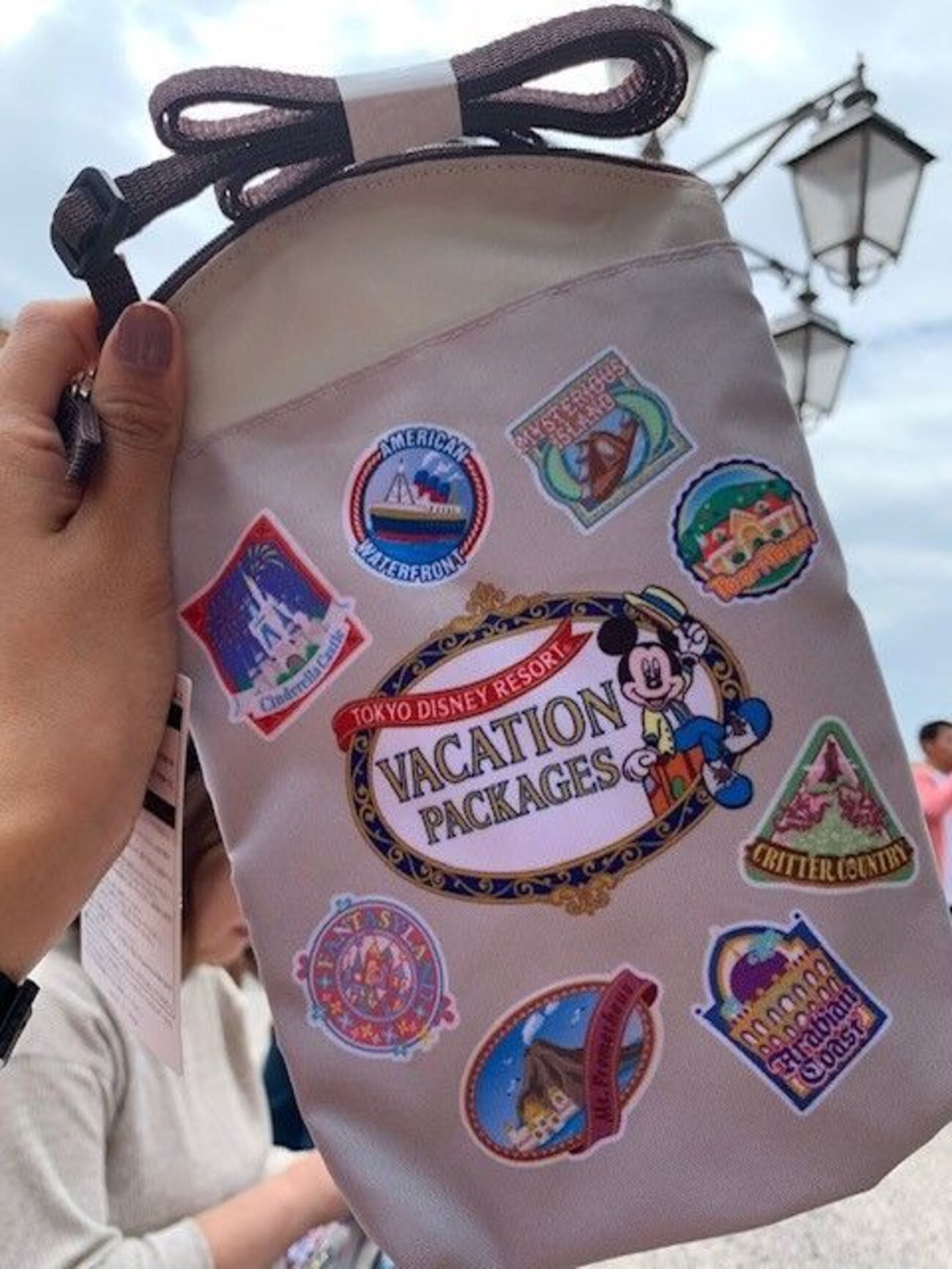 特典でディズニーリゾートを充実して楽しめました～バケーションパッケージの旅② - 空マイラーから陸マイラーへ