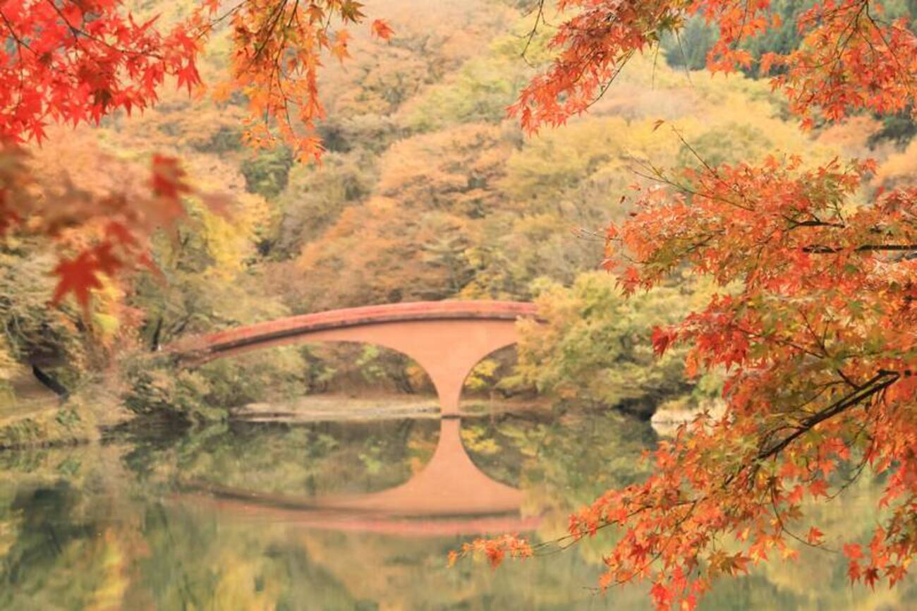 F10号です。碓氷峠で発見した、紅葉。特注額です。 F10号です。碓氷峠で発見した、紅葉。特注額です。 （旧碓氷峠