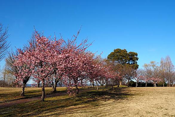 北勢中央公園とは 地理の人気 最新記事を集めました はてな