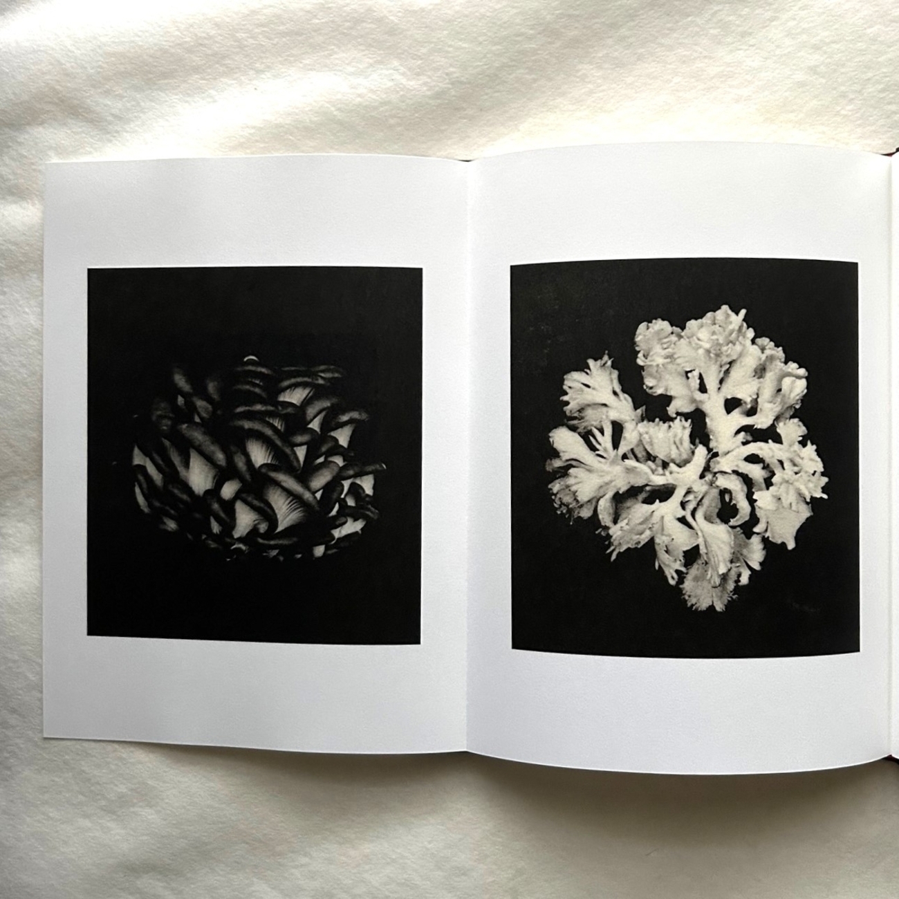 Time in Air, Time in Paper / 森田幸子 - 本まるさんかくしかく Blog