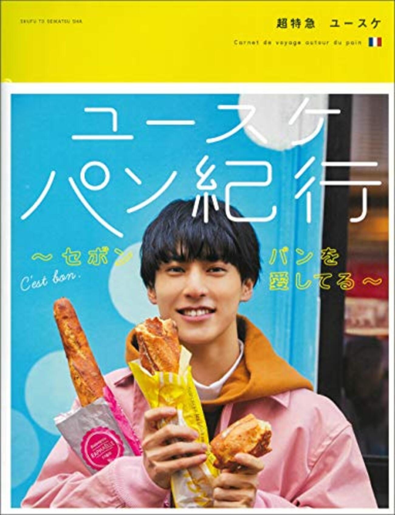 活動歴および当時の関連ビジュアル記録