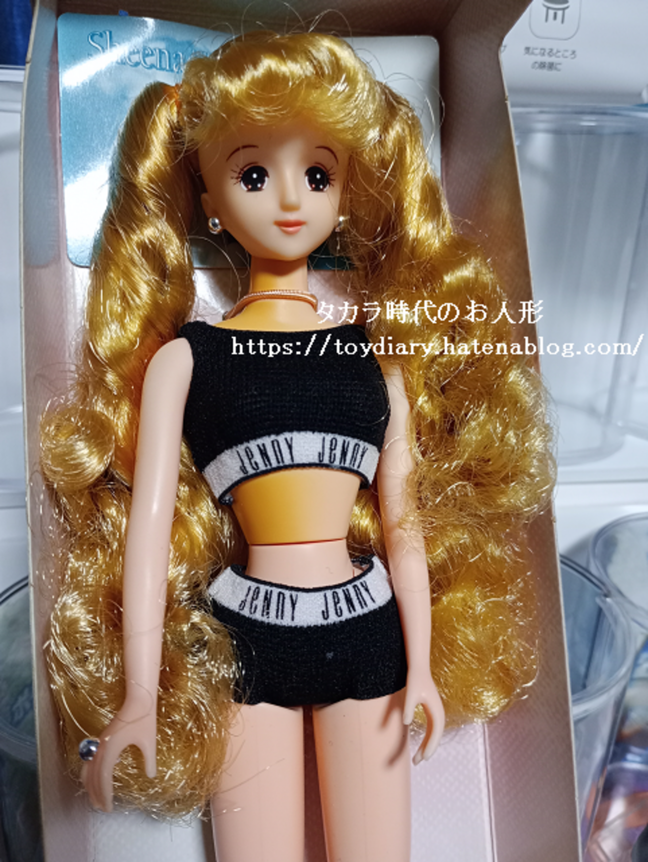 ドールの黄変に関する大変乱暴なメンテナンスの話など。②ドブ漬け実施編。 - タカラ時代のお人形