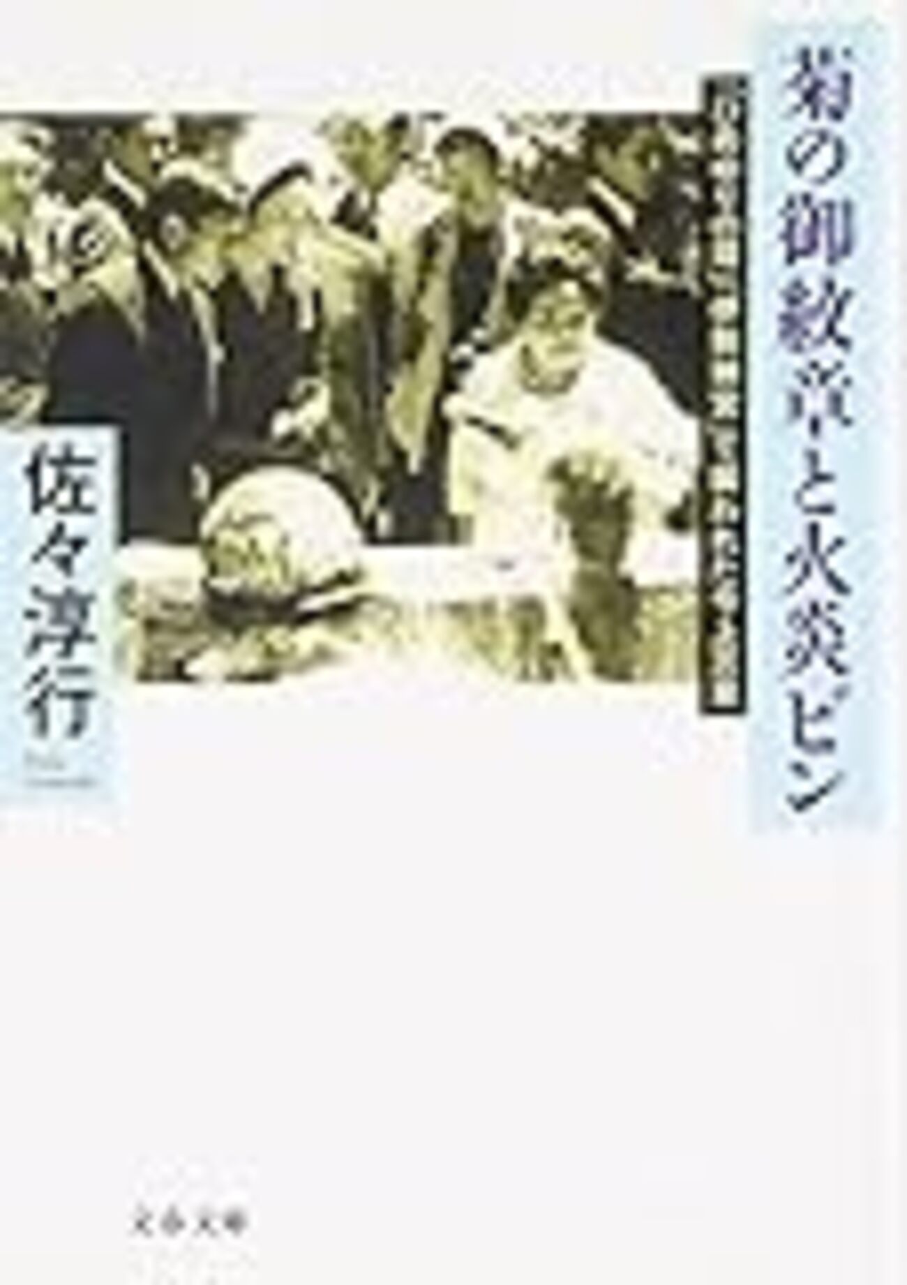「ひめゆりの塔」「伊勢神宮」で襲われた今上天皇 菊の御紋章と火炎ビン Amazon.co.jp: 「ひめゆりの塔」「伊勢神宮」で襲われた今上天皇