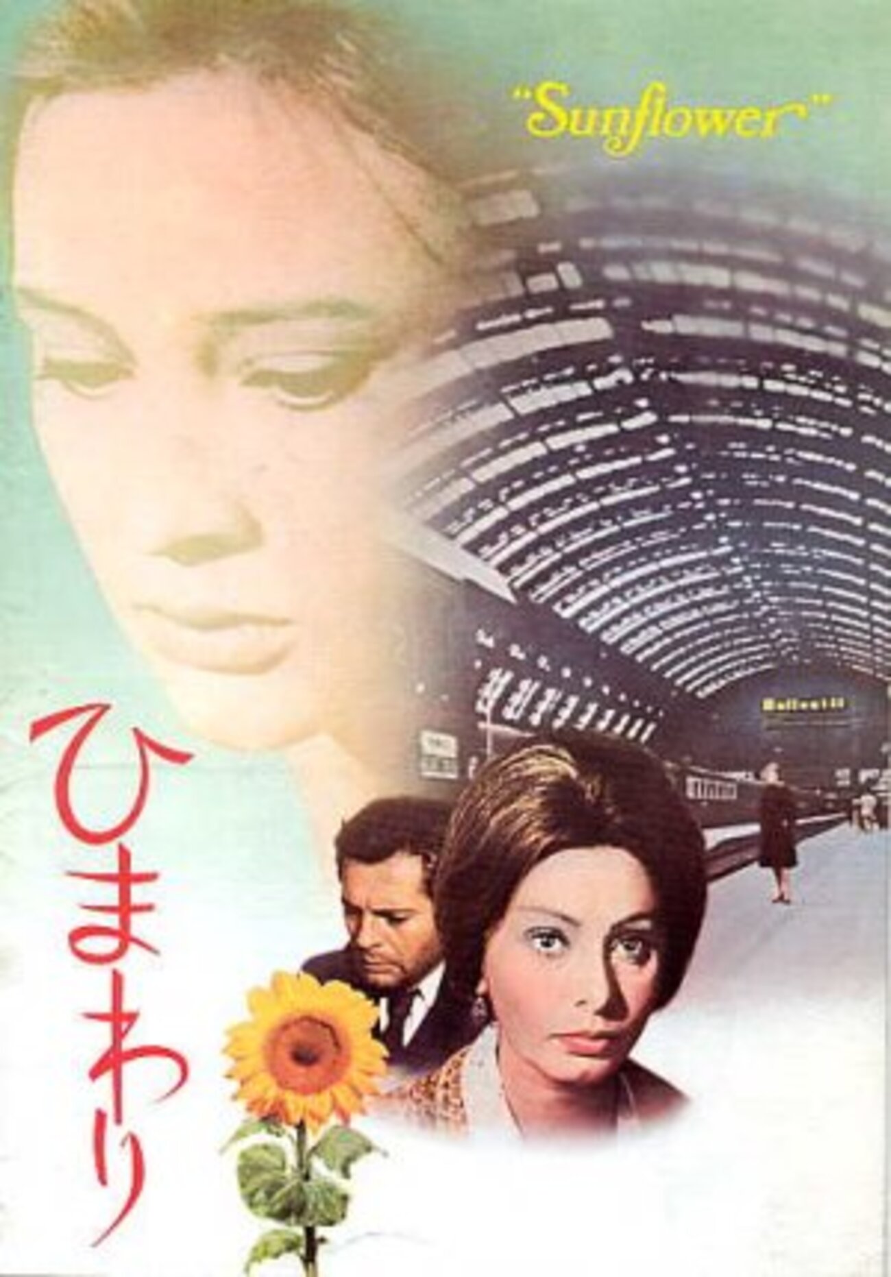 backend=imagemagick;version=1;