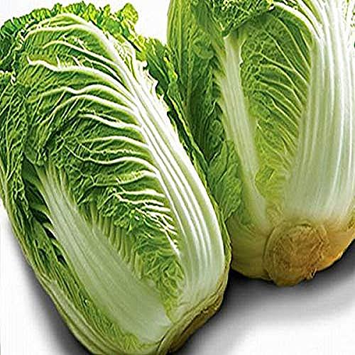 あのニュースで得する人損する人とは テレビの人気 最新記事を集めました はてな