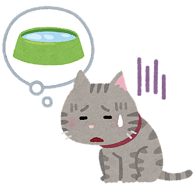 捨て猫とは 動植物の人気 最新記事を集めました はてな