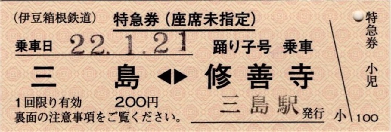 【使用済】完全常備券　伊豆号　伊豆箱根鉄道発行　2等　硬券 backend=imagemagick;version=1;