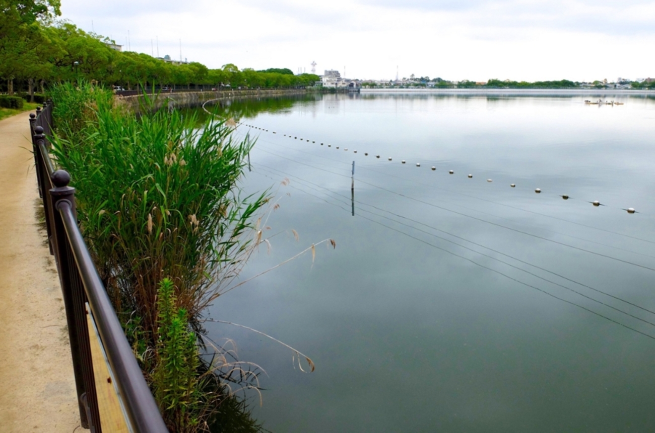 backend=imagemagick;version=1;