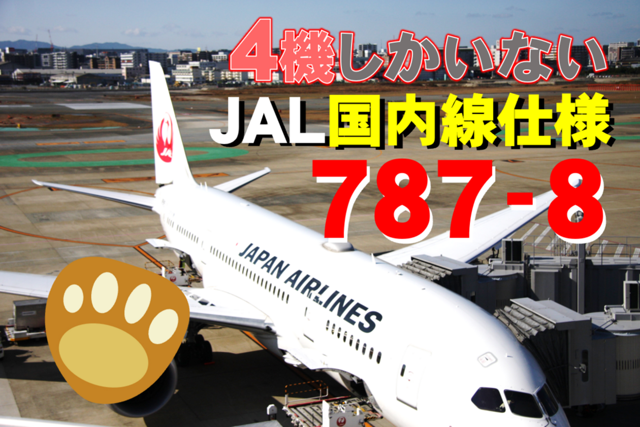 1/130 全長約43cm JAL/日本航空 B787-8 LED点灯仕様 1/130 全長約43cm JAL/日本航空 B787-8 LED点灯仕様