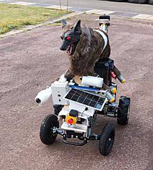 ROS2で作るGPSナビ台車：LiDARなし・エッジコンピューティングで目的地まで向かえるか