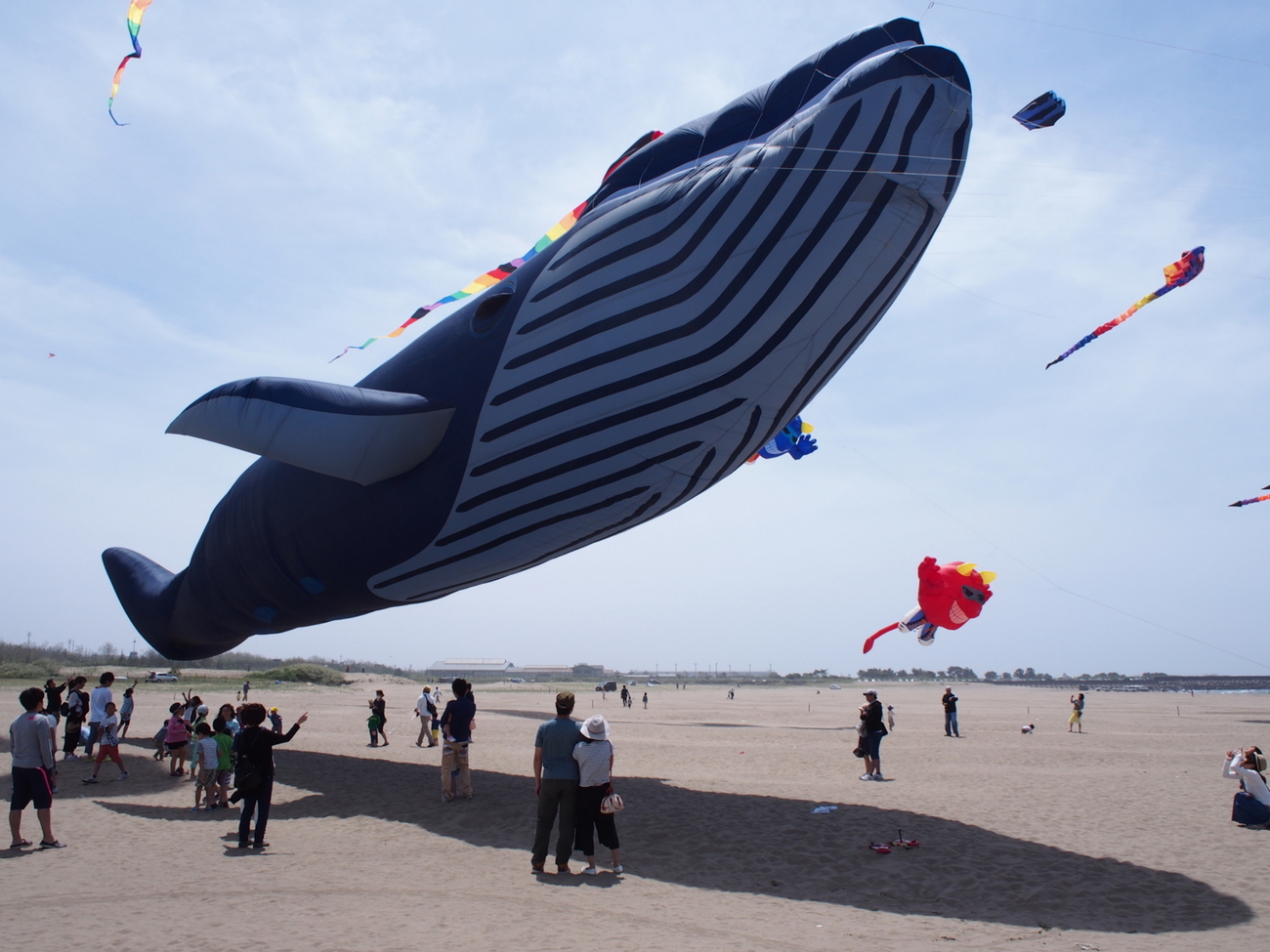 世界の凧の祭典 - 金沢おもしろ発掘