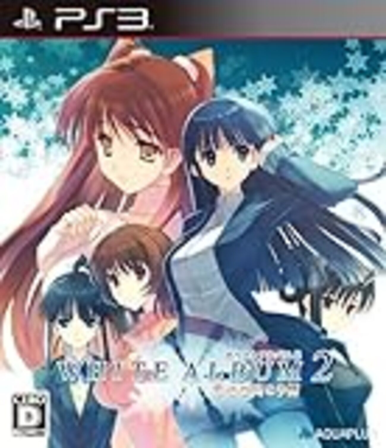 WHITE ALBUM 2 雪が解け、そして雪が降るまで 小説 特典*