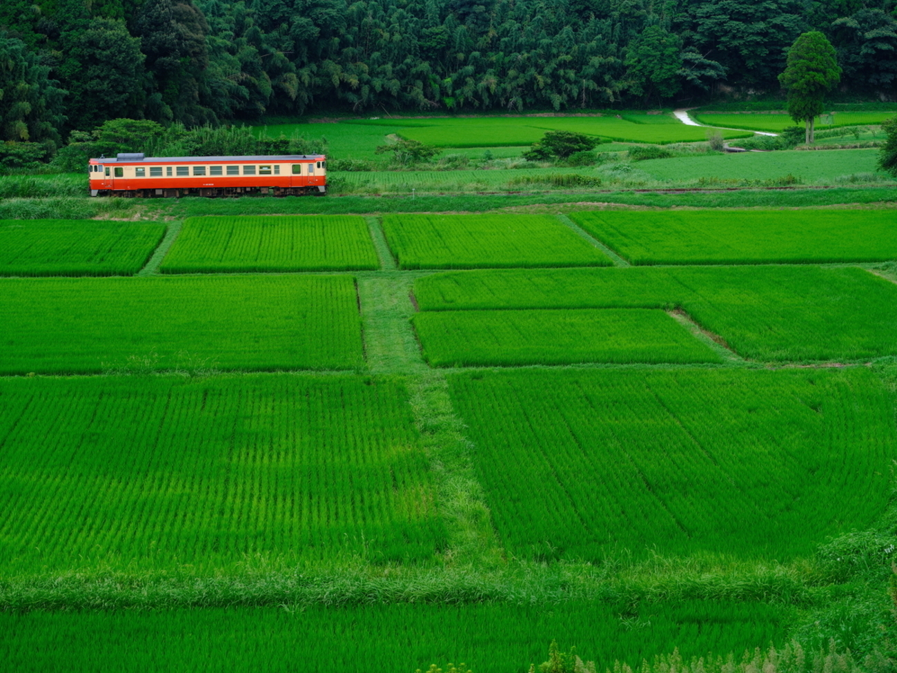 箱庭のような田園風景を往く、ツートンカラーのキハ40 8038を撮る！(吉