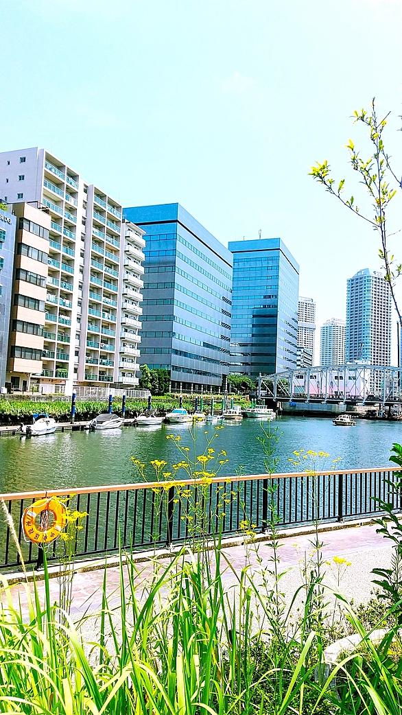 亀島川とは 地理の人気 最新記事を集めました はてな