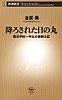 降ろされた日の丸―国民学校一年生の朝鮮日記―