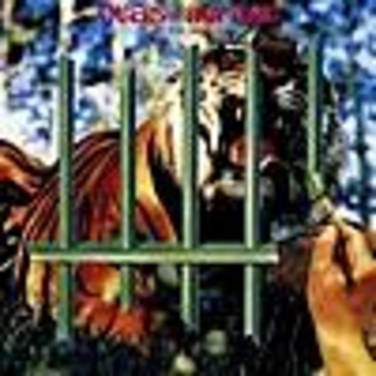 楽曲紹介】 タイガース・オブ・パンタン（TYGERS OF PAN TANG 