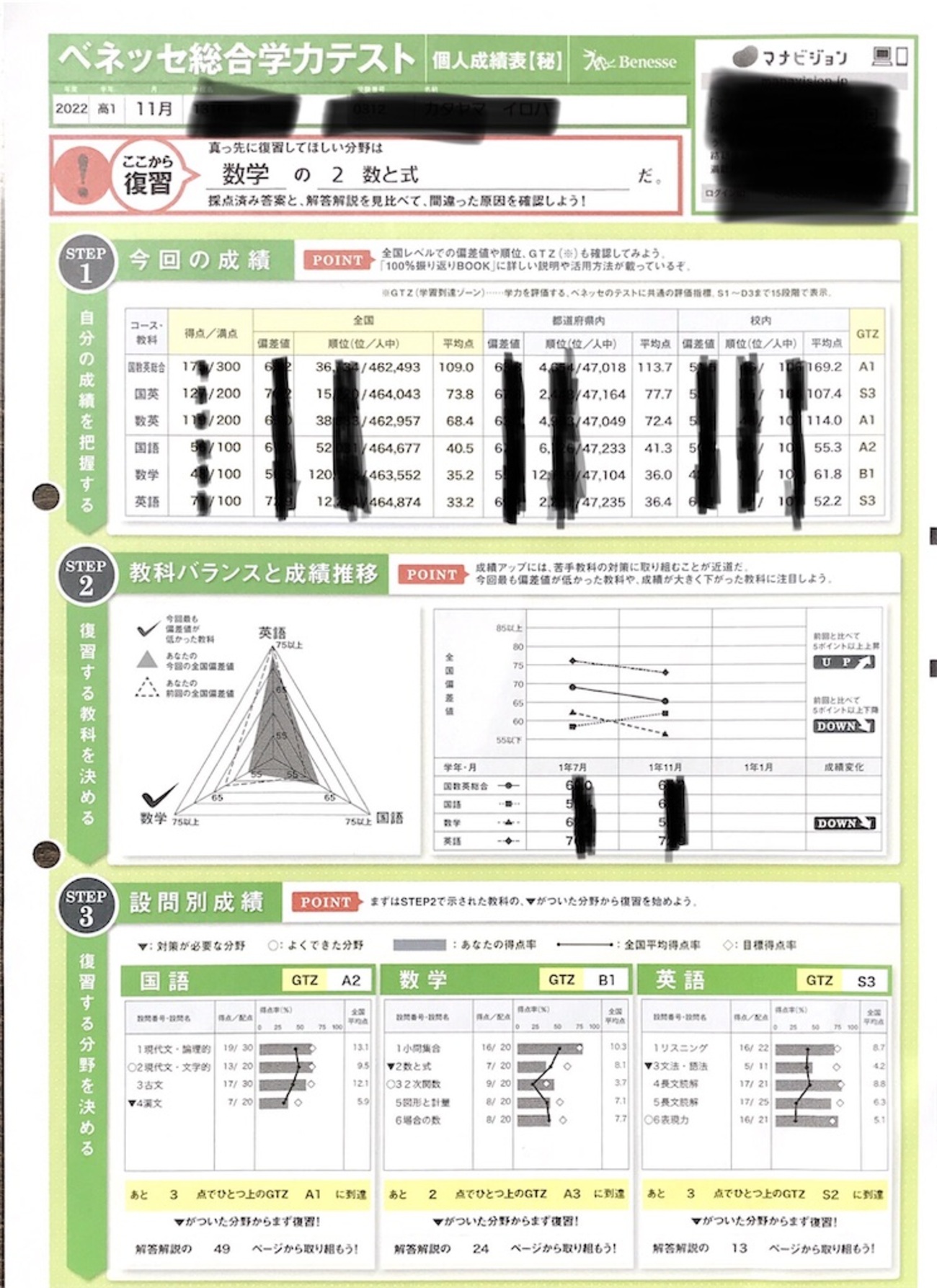 ベネッセ総合学力テスト 都立高1の11月成績表公開！ - 公立中高一貫校 