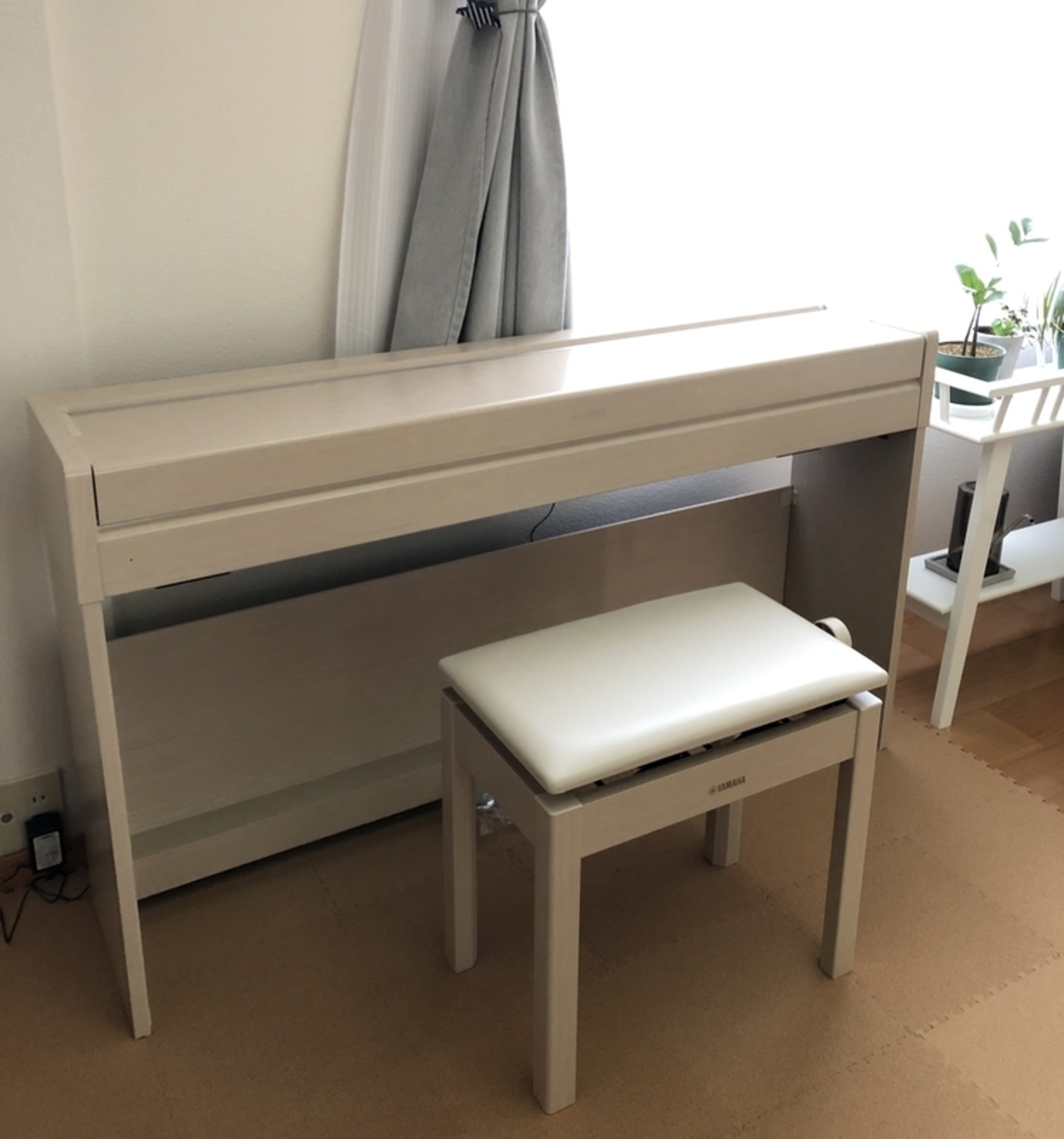 backend=imagemagick;version=1;