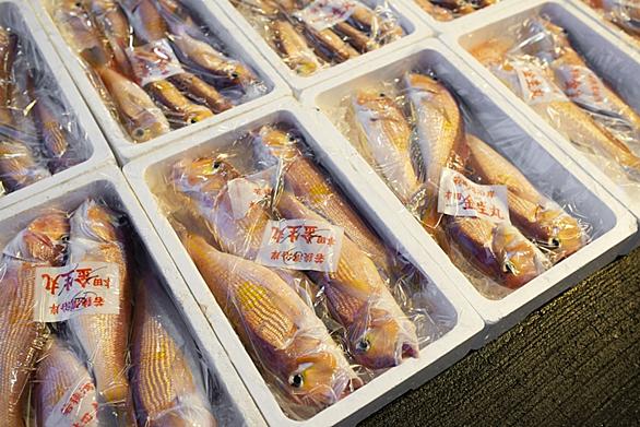 メイタガレイとは 動植物の人気 最新記事を集めました はてな