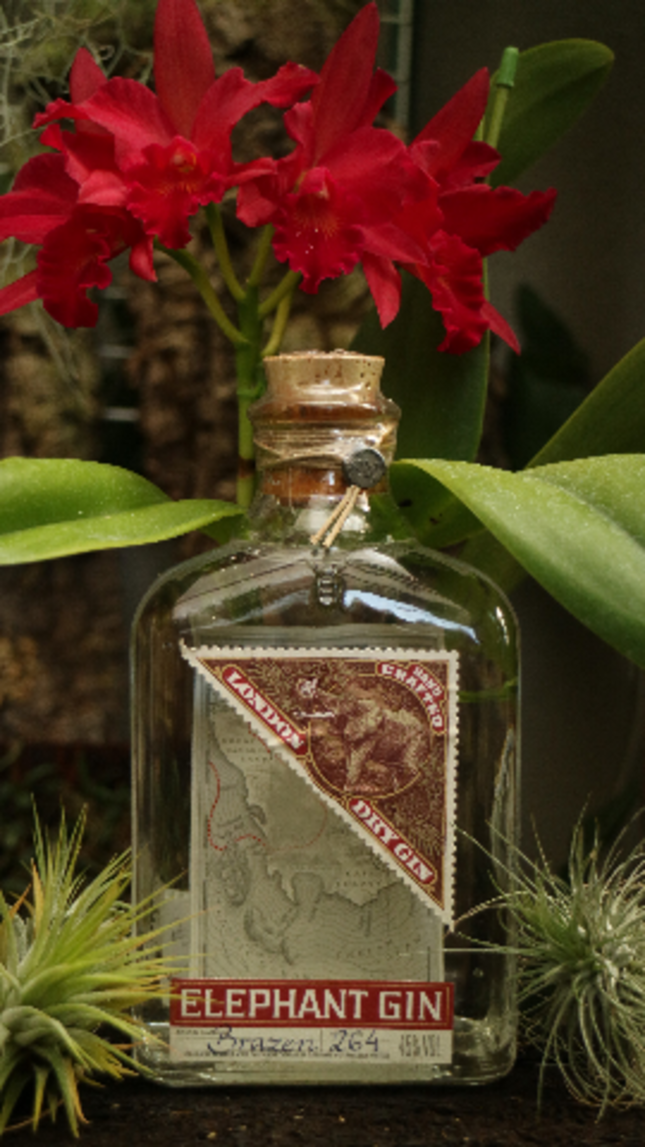 限定品Elephant Gin E.2020 35% エレファントジン