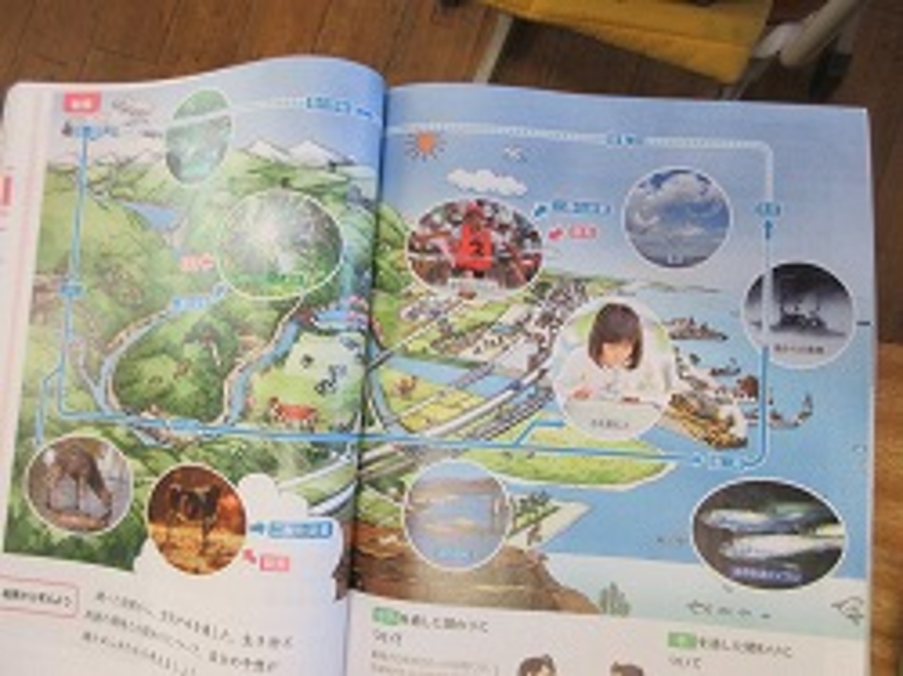 生物学のための水と空気の物理 書籍「生物学のための水と空気の物理」が発刊されました