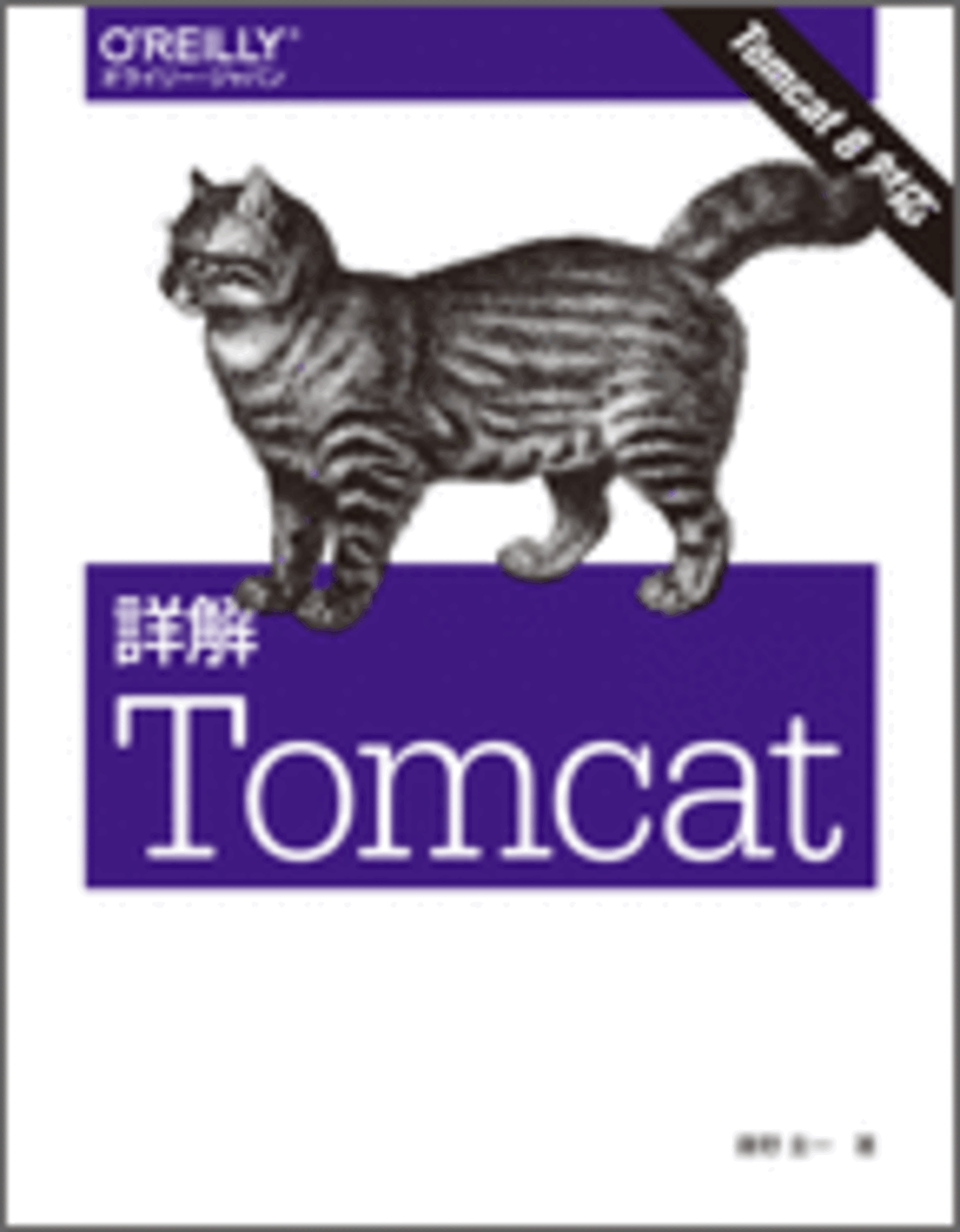 書籍「詳解Tomcat」を読んで - n-agetsumaの日記