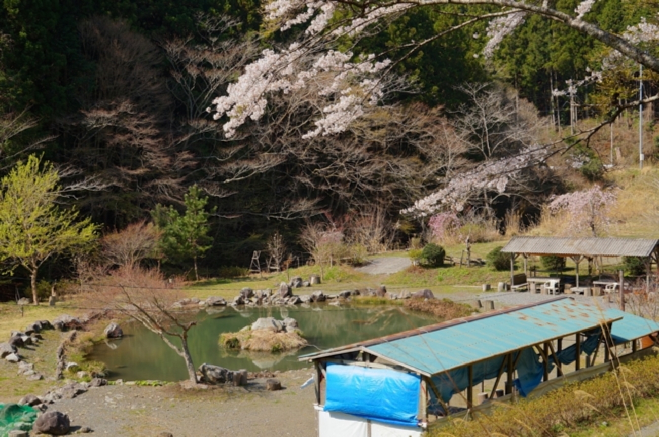 大河内 清流 やまめ の 里