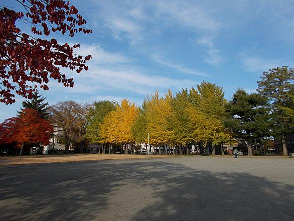 平和公園とは 地理の人気 最新記事を集めました はてな 平和公園とは 地理の人気 最新記事を集めました はてな