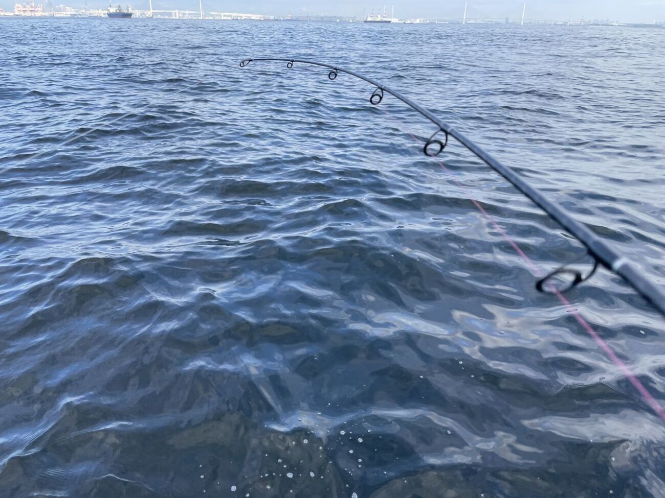 backend=imagemagick;version=1;