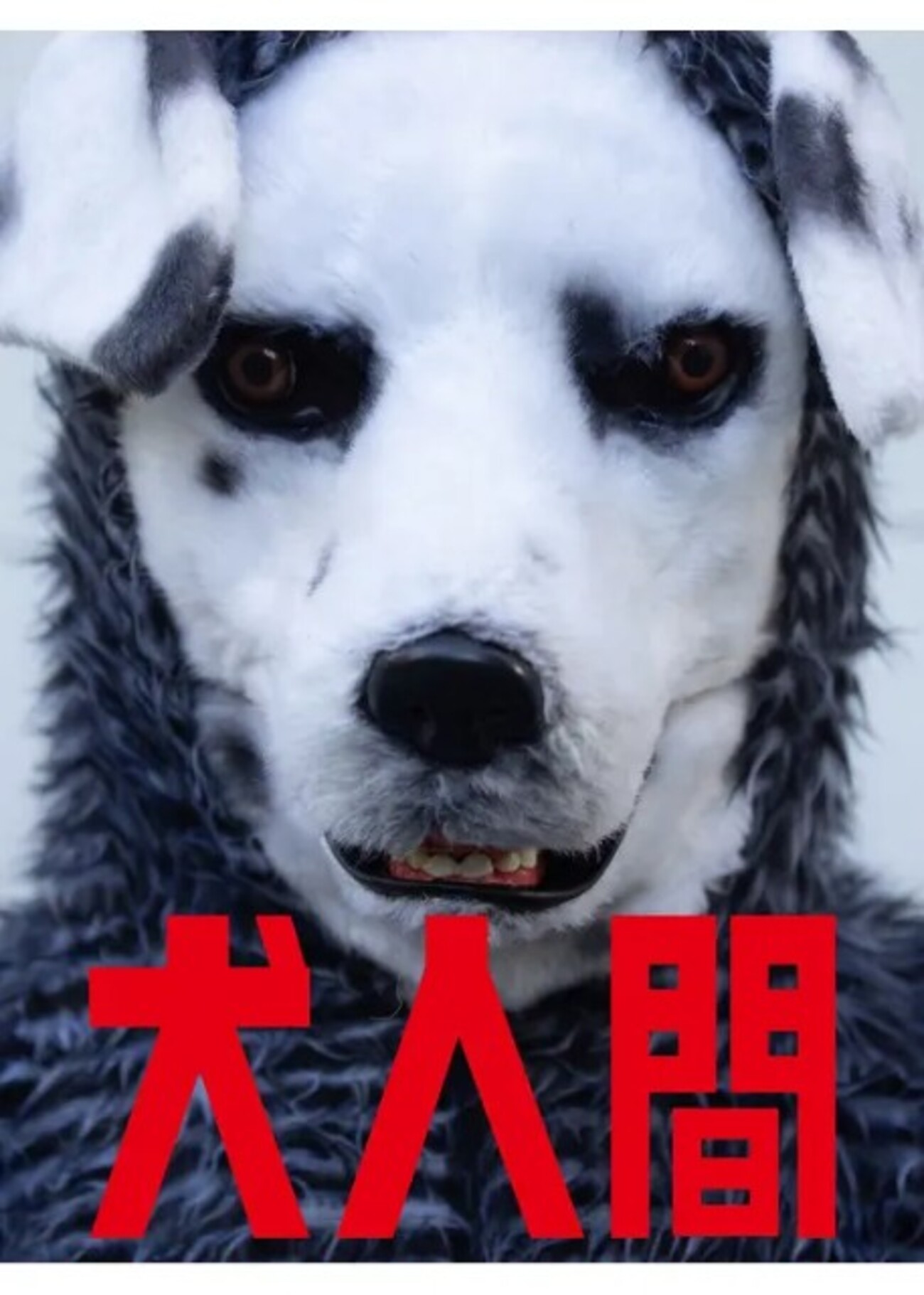 犬人間 感想