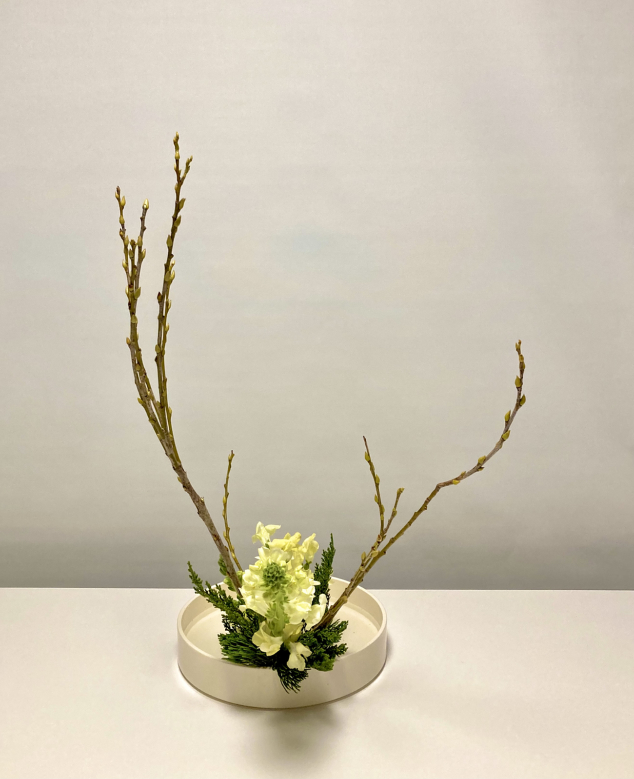 円池　茂　【卓上の花】 円池茂【卓上の花】