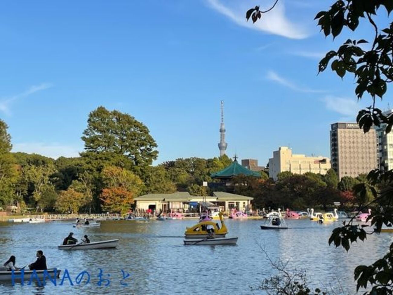 雑記】上野公園・不忍池と琵琶湖・比叡山、そして上野のバンクシー