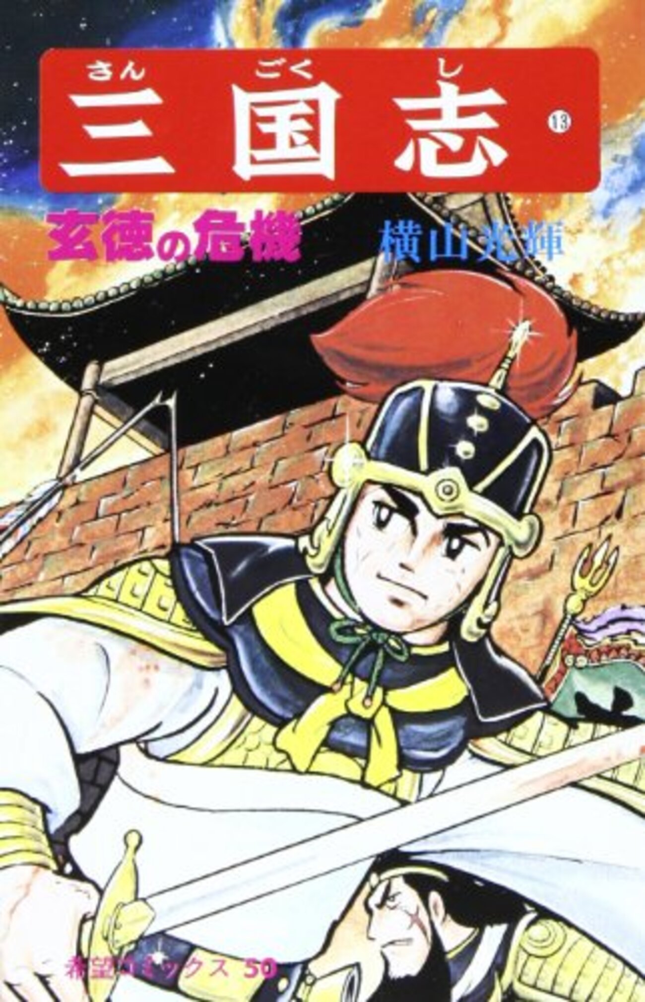 三国志 13 - 梅子の手帖