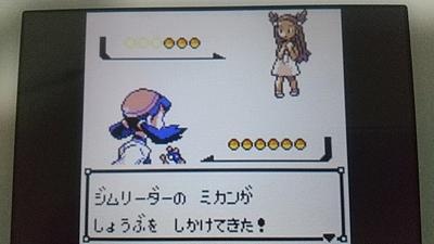 人気ダウンロード ポケモン ノコッチ 進化 ポケモン ノコッチ 進化 Nyosspixdop7