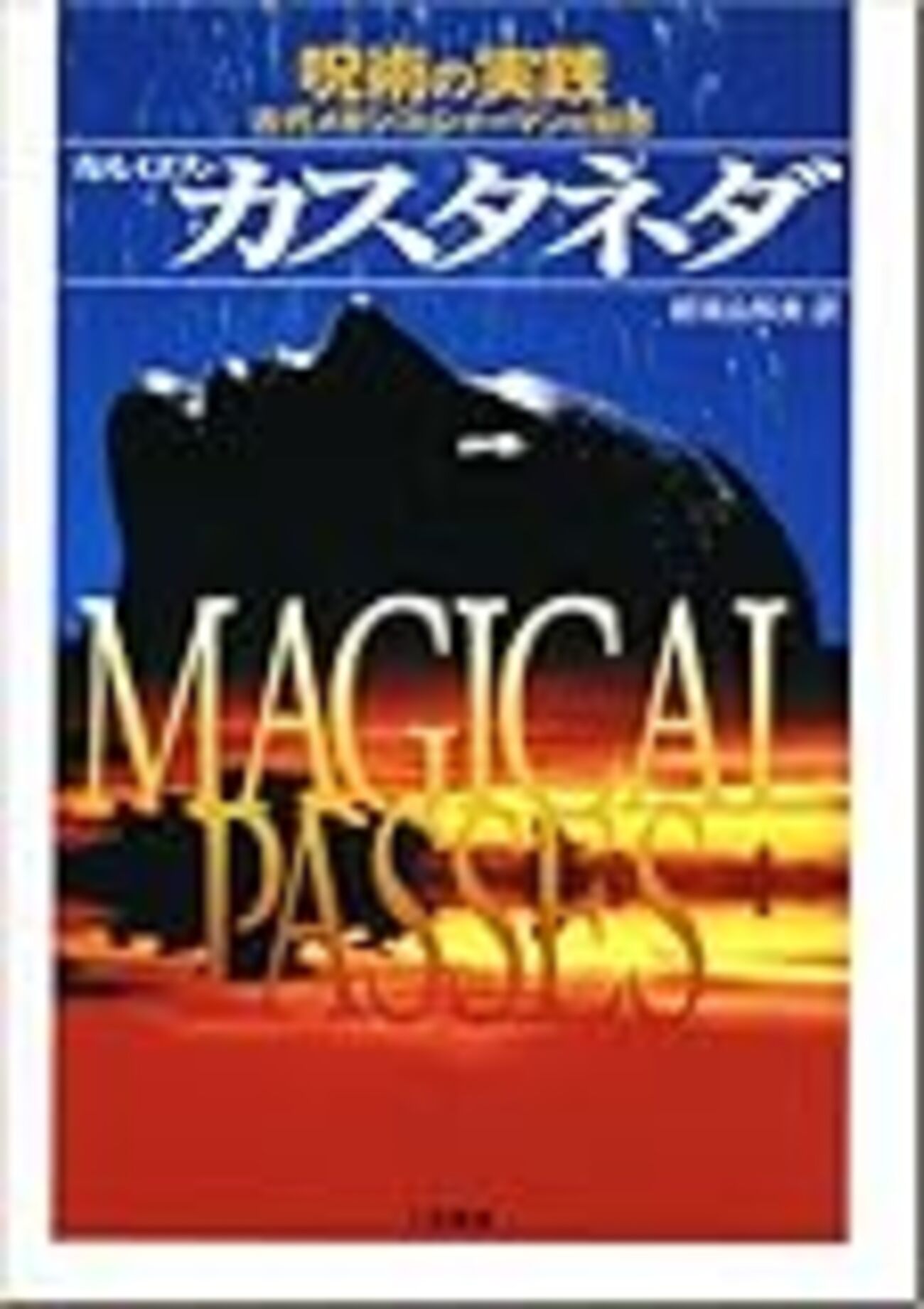 呪術の実践 古代メキシコ・シャーマンの知恵 カルロス・カスタネダ 著
