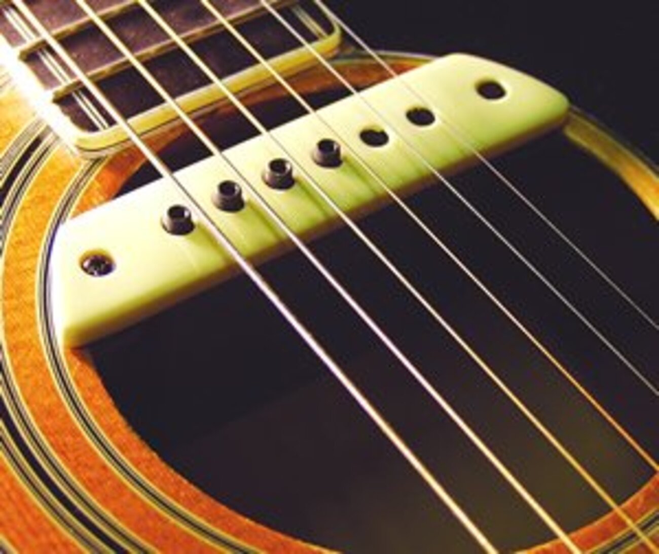 アコギ用ピックアップ弾き比べ「FISHMAN NEO-D Humbucking Pickup 