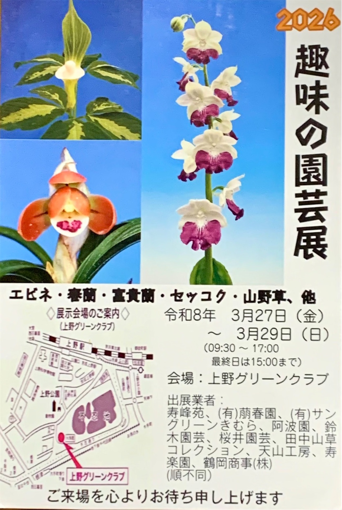 趣味の園芸展 27日から東京・上野 - 純風満蘭（富貴蘭・風蘭ブログ 着