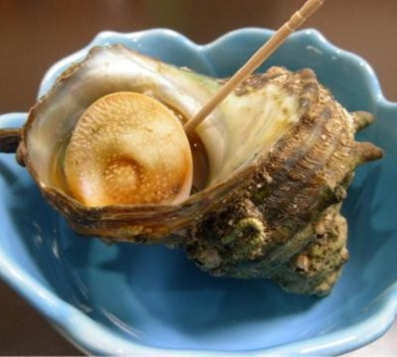 サザエの壺焼き(世界のサザエ&Sea Snail/海産大型巻き貝料理2) サザエは,日本全国で食べられ,サザエの食べ方として最も知られ最上の ...