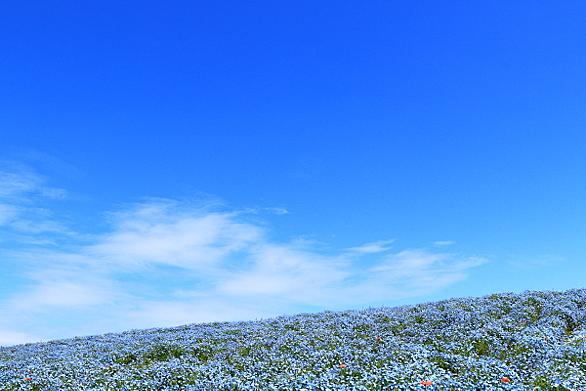 舞洲とは 地理の人気 最新記事を集めました はてな